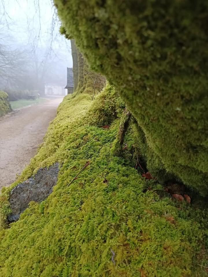 Gite De Rosvern Commana المظهر الخارجي الصورة